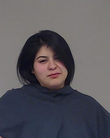Ochoa, Brittany arrested by Collin County SO/PD