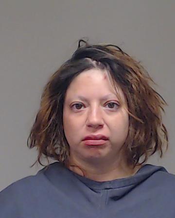 Zhaleh, Davodi arrested by Collin County SO/PD