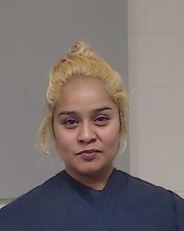 Guerrero Mendoza, Maria Elena arrest record in Collin County, Texas Guerrero Mendoza, Maria Elena arrested in Collin County, Texas mugshot