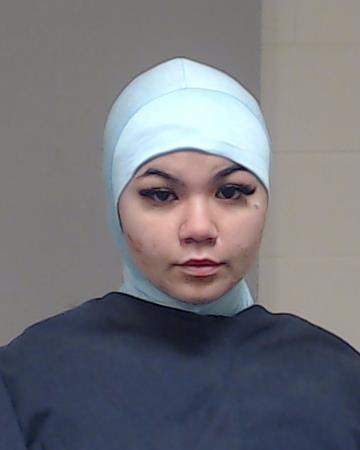 Bakhtiary, Arzoo arrest record in Collin County, Texas Bakhtiary, Arzoo arrested in Collin County, Texas mugshot