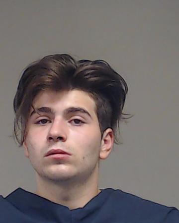 Margarit-Neculcea, Rares arrested by Plano Police Department