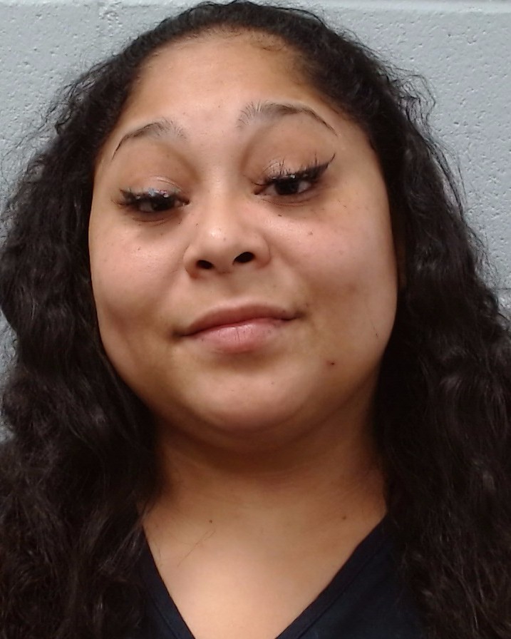 Lopez-Ayala, Elisabet booking photo