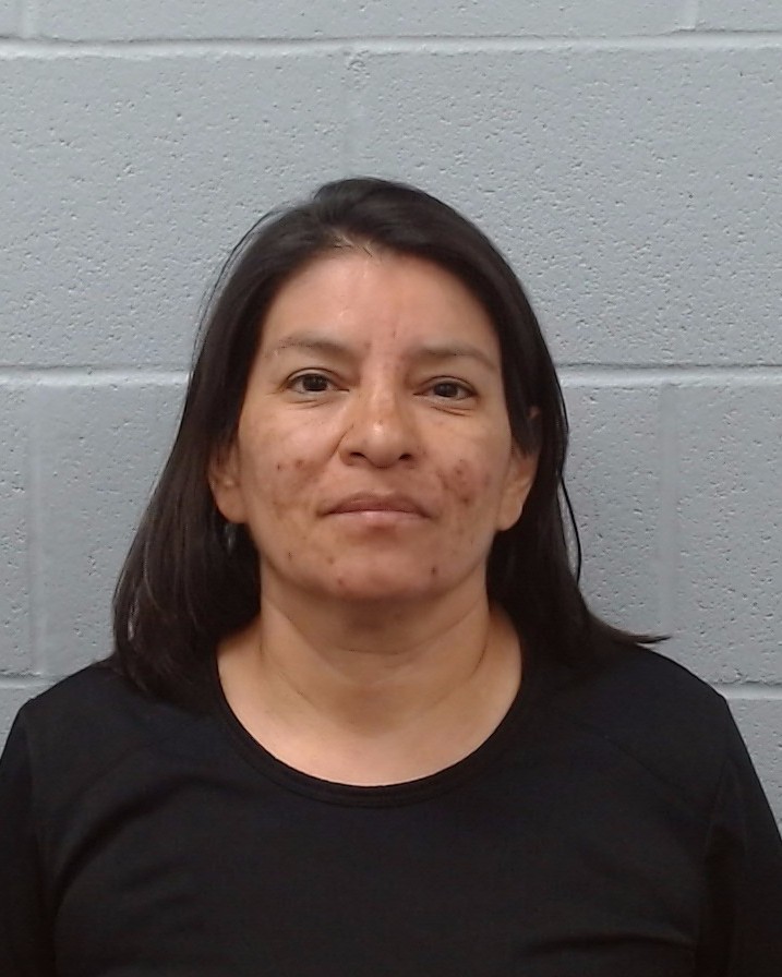 Sandoval Hernandez, Sylvia Yolanda booking photo