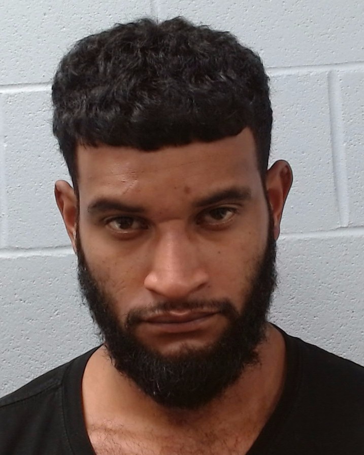 Rosales, Michell Josue arrested by Hays County SO/PD