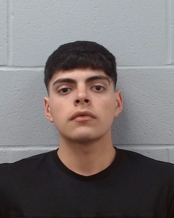 Bella, Damien Alexander booking photo