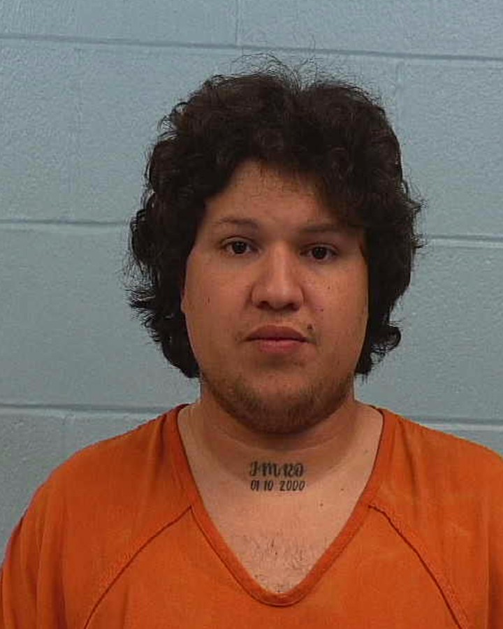 MEJIAS-ORTEGA, WILLIANS booking photo