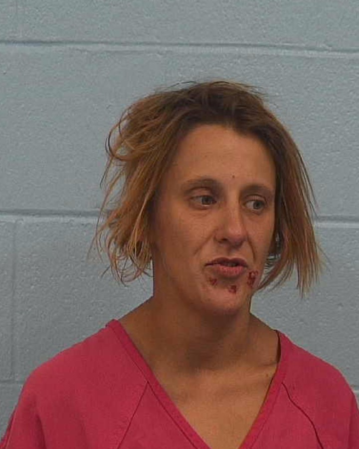 North, Janna Renee booking photo