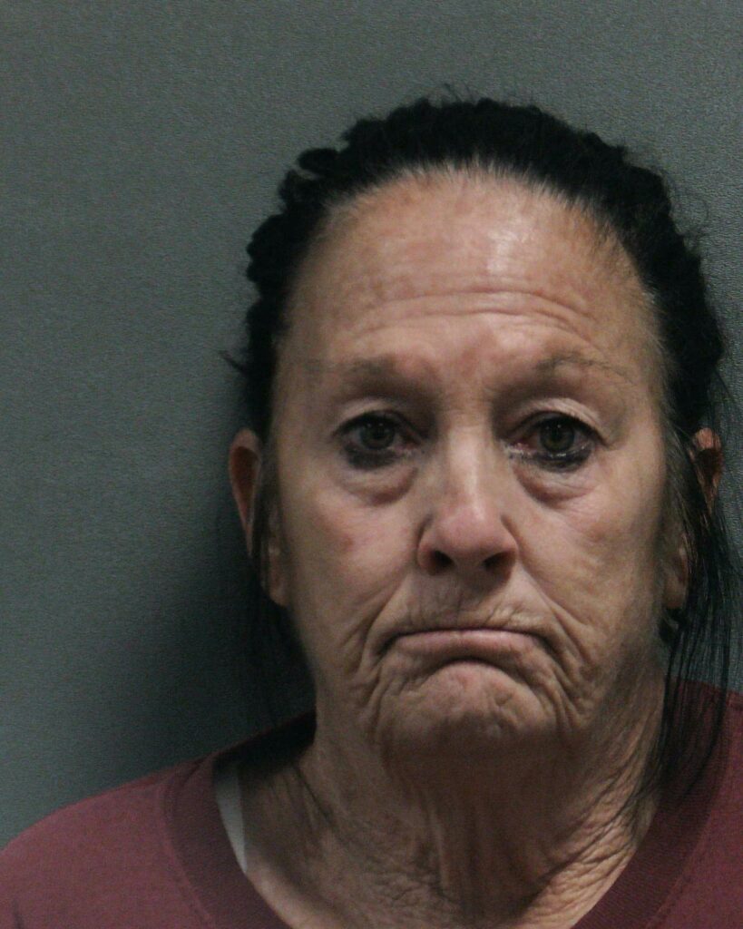 PEEK, PATRICIA ANN arrested in Randall County, Texas mugshot