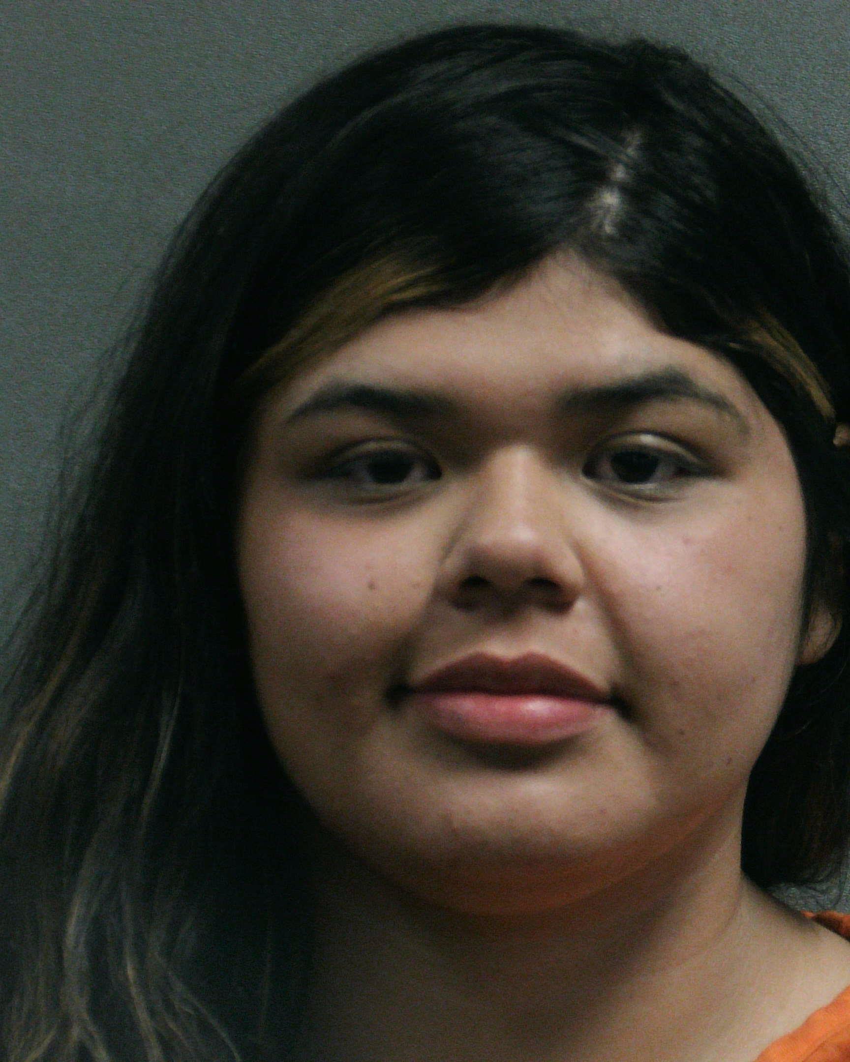 GONZALEZ, BRIANA booking photo