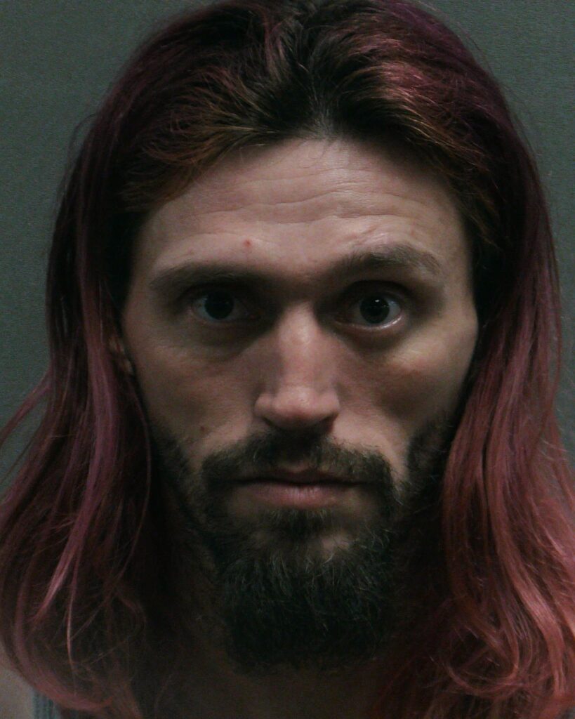 WORTH, JOSHUA TROY booking photo