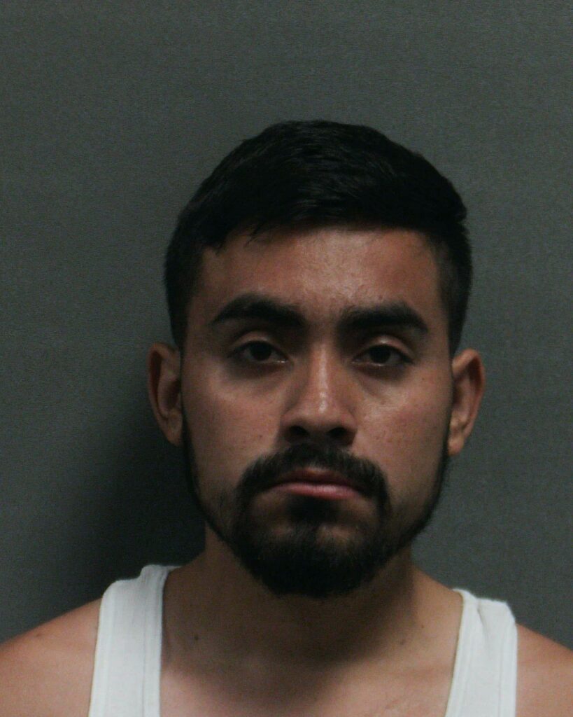 LANDEROS-MILLAN, PEDRO MARIO booking photo