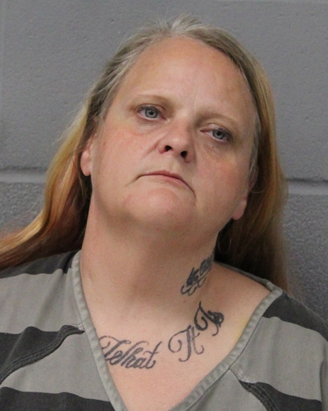 VICKY FIELDS booking photo