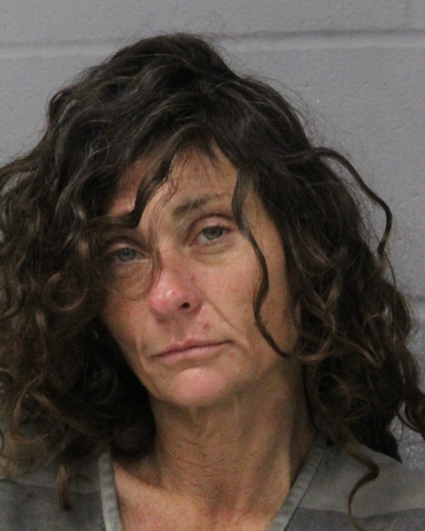 VERONICA PRUETT booking photo