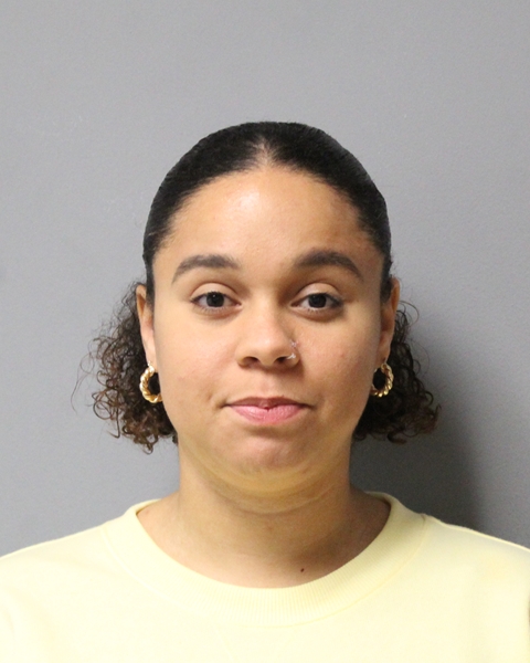 ALYSSA AKINREMI booking photo