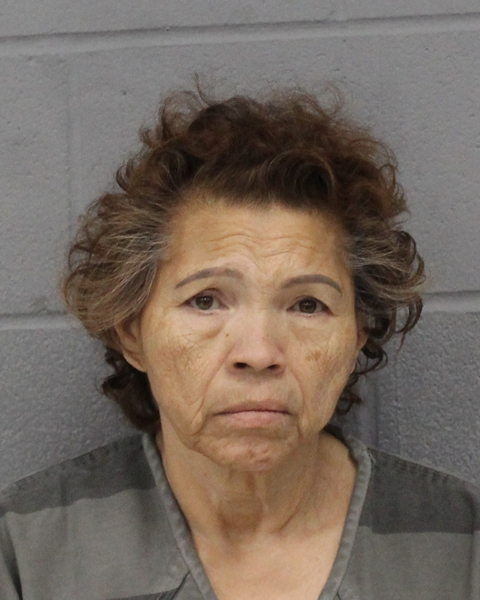 BEATRICE GOMEZ booking photo