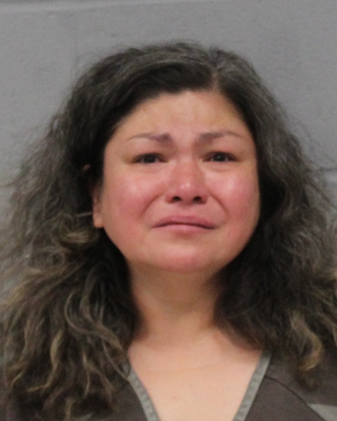 VERONICA KERR booking photo