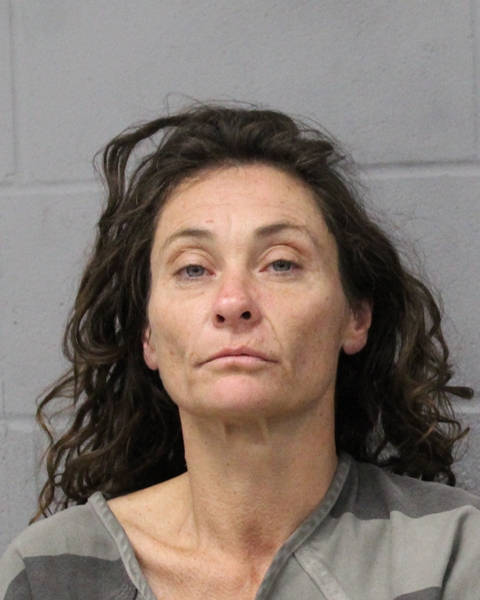 VERONICA PRUETT booking photo
