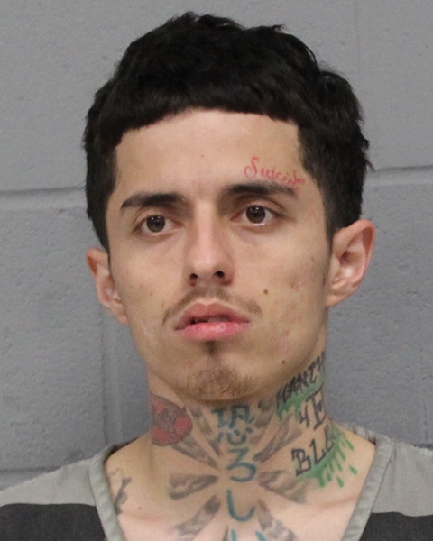 RIGOBERTO ORTIZ booking photo