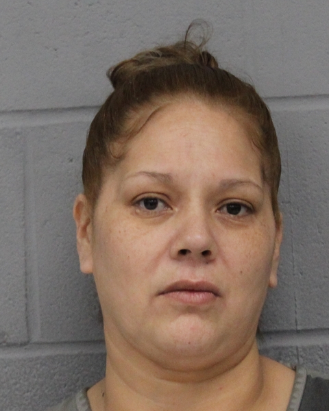 SANTA MORALES booking photo