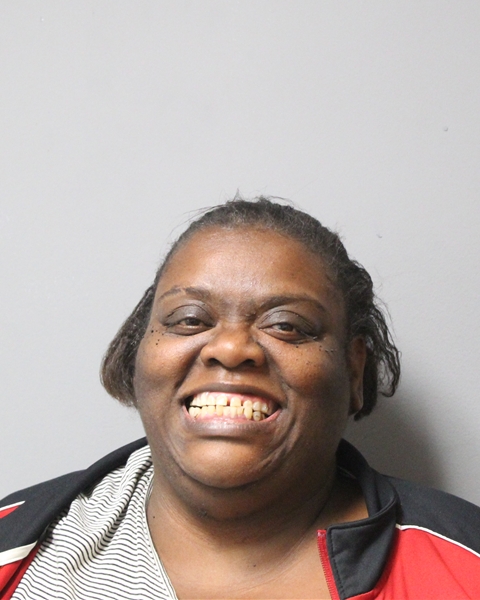 DAWN HINES booking photo