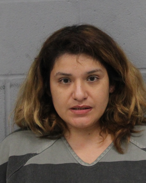 PRISCILLA MENDOZA arrested by APD