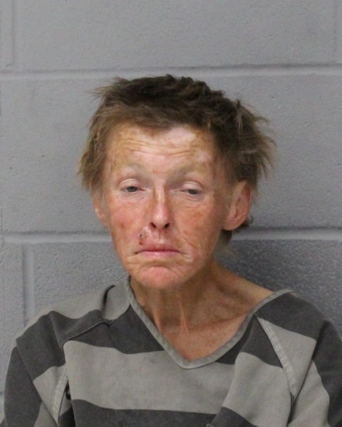 LYDA MALONEY booking photo