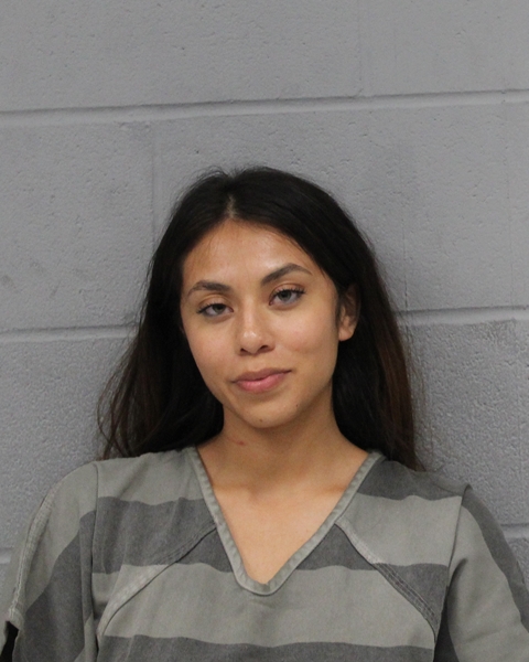 LAYLA ALCALA booking photo