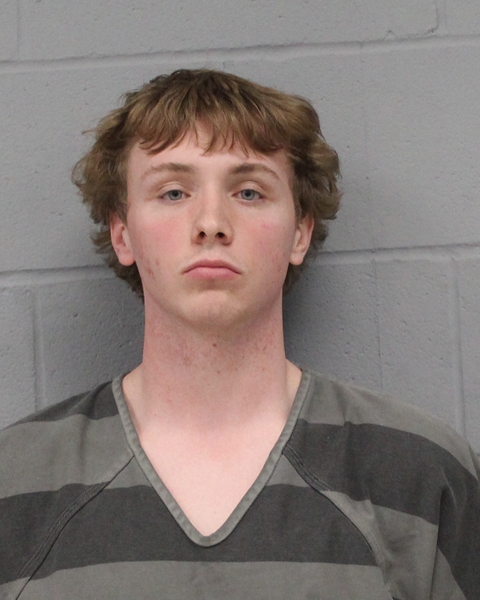 CHASE LEWIS arrested by APD