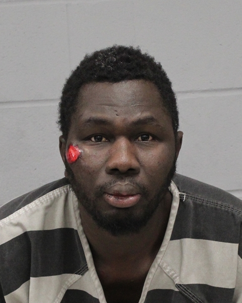 TRAORE HILLASSA booking photo