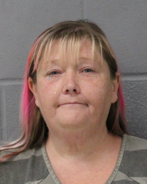 BRANDY PHILLIPS booking photo