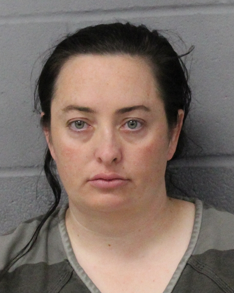 SARAH DAVIS booking photo