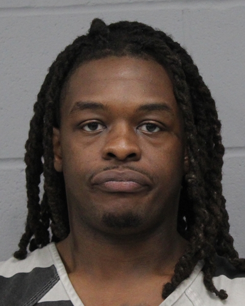 NA TORI BURNEY booking photo