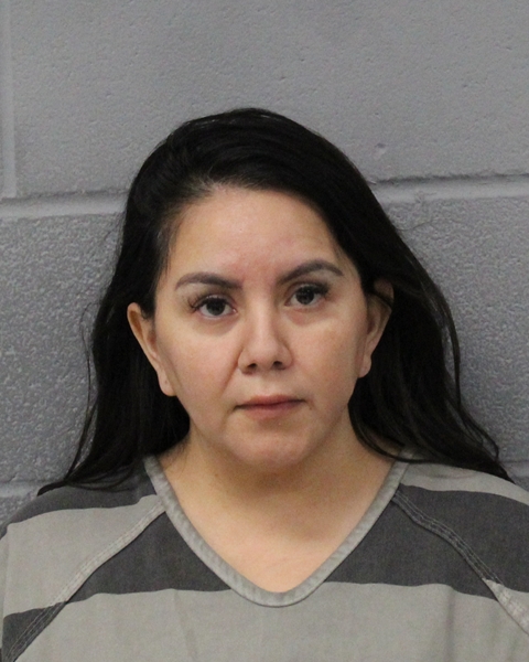 LORI FARIAS booking photo
