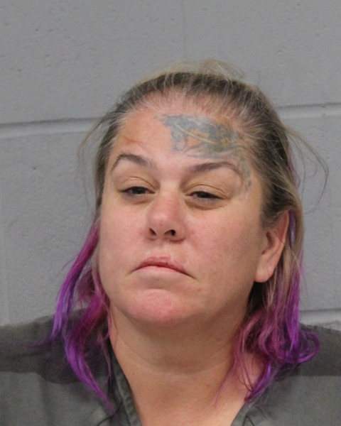 AUDRIA LOVE booking photo