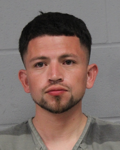 RONAL CHAVEZ booking photo