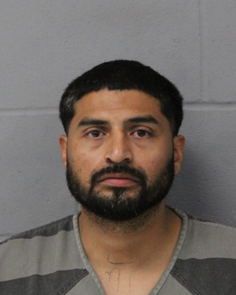 ROEL VARGAS booking photo
