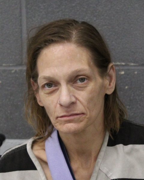 AMANDA CHANDER arrested by APD