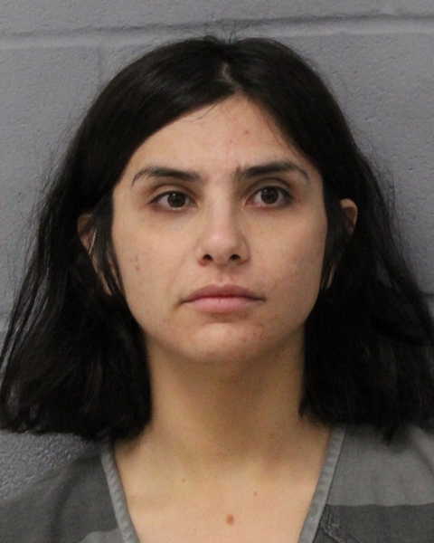 MIZTICA SANCHEZ booking photo