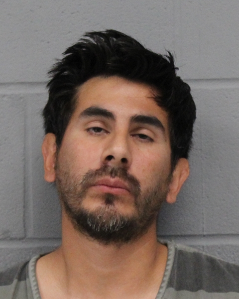 NOE TORRES booking photo