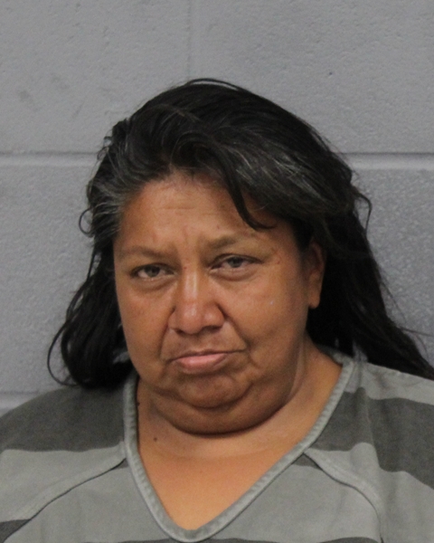 LORI MARMOLEJO booking photo