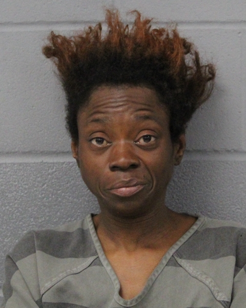 ASHLEY BROWN booking photo