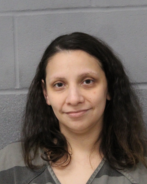 JANNETTE CASTILLO booking photo
