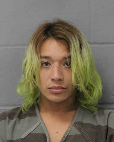 JUAN MARTINEZ booking photo