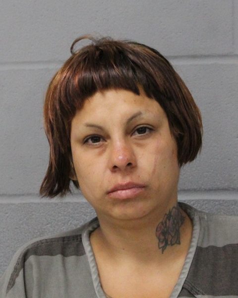 DIANA DIAZ booking photo