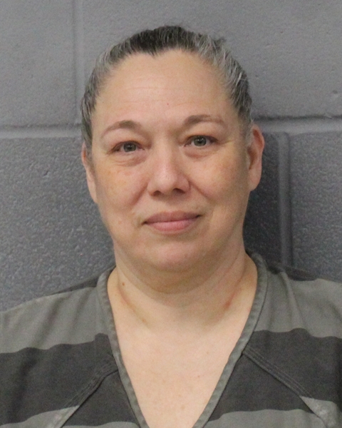 MARIBEL GODINEZ booking photo