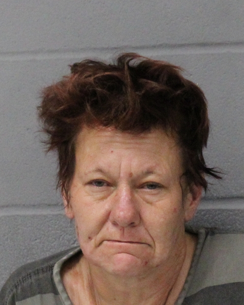 CAROL SCALLAN arrested by APD