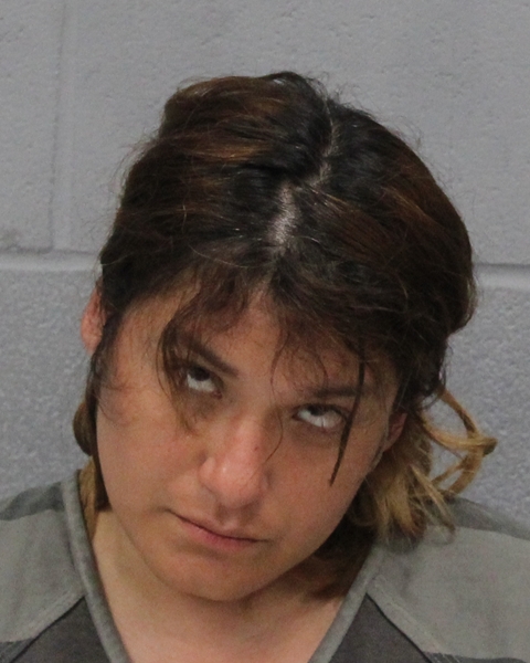 PRISCILLA MENDOZA booking photo
