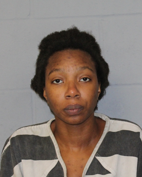 LINDSEY HEGER booking photo