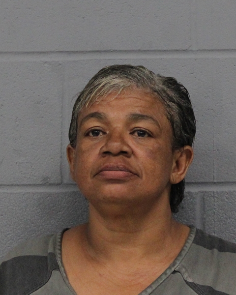 PAMELA MCLEMORE booking photo