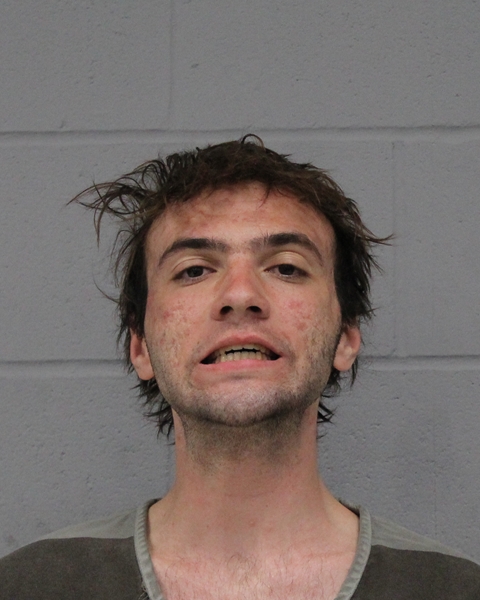 ANTHONY ARLANS booking photo